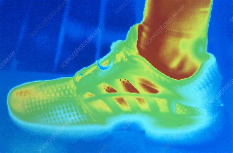 Sports Trainer Thermogram Stock Image P Science Photo