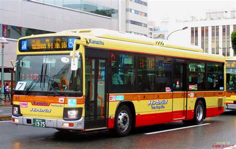 bus