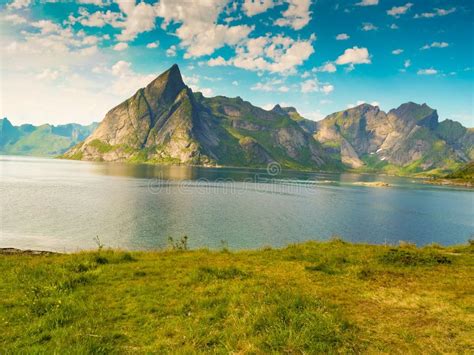 Paisaje Del Fiordo Y De Las Monta As Islas Noruega De Lofoten Imagen De