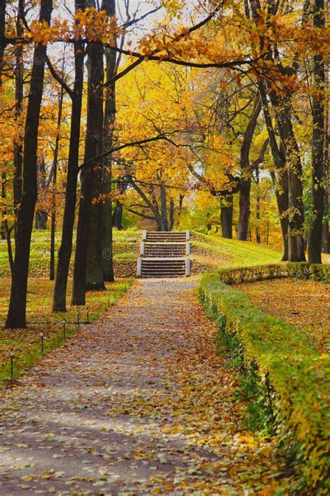 Autumn Park Landscape Golden Autumn In The City Park Photos On The Calendar Season Stock