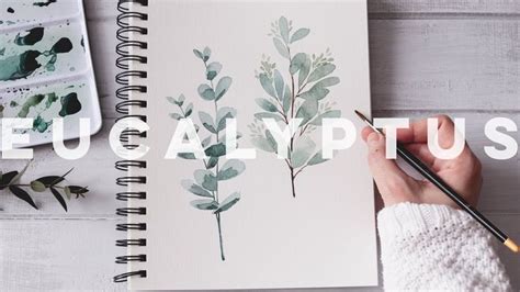 How To Paint Eucalyptus: Watercolor Techniques Explained | Watercolor ...