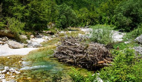 Idyllic Mountain River In Lepena Valley Soca Bovec Slovenia Stock