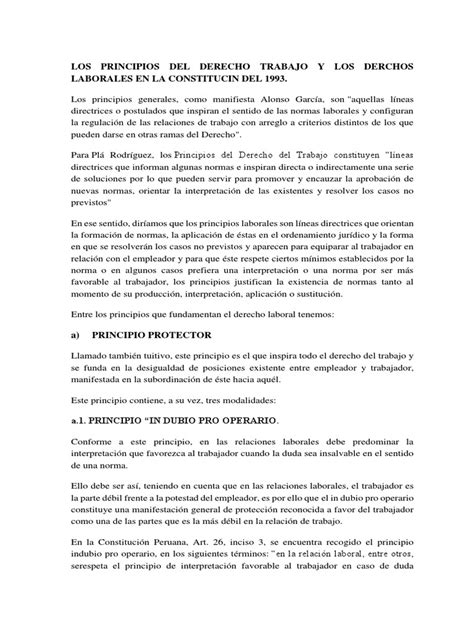 Los Principios Del Derecho Trabajo Y Los Derechos Laborales En La