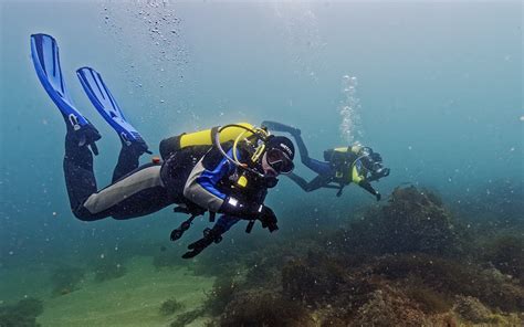 New Guidelines For Divers And Snorkellers To Help Protect Our Seas