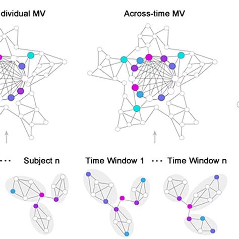 Schematic Of The Identification Of Neural Correlates Of Consciousness