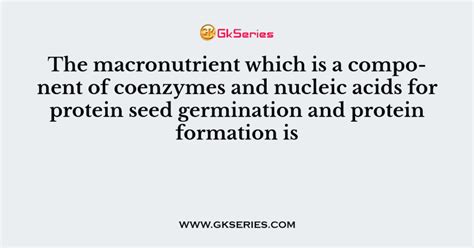 The Macronutrient Which Is A Component Of Coenzymes And Nucleic Acids For Protein Seed