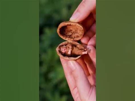 Ерсаг Витекс Священный БАД - YouTube