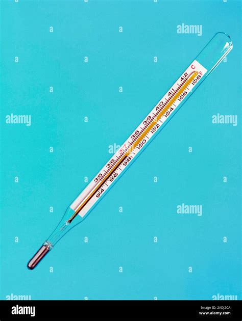 Thermometer At Normal Body Temperature Clinical Thermometer Calibrated