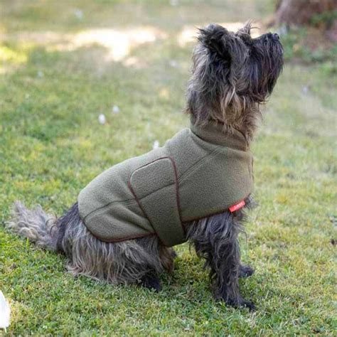 16 Best Dog Coats To Keep Your Pup Snug In Winter