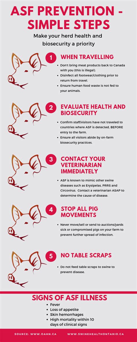 African Swine Fever Prevention Infographics - Ontario Animal Health Network