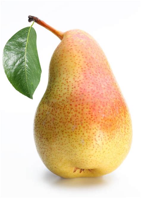 One Ripe Pear With A Leaf Stock Image Image Of Freshness 15466547