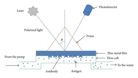 Surface plasmon resonance spectroscopy commonly used for the detection... | Download Scientific ...