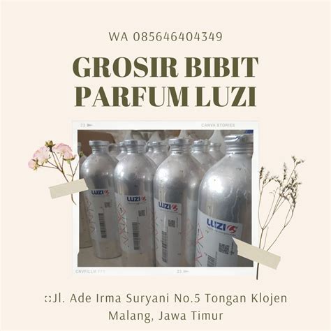 WA 0856 4640 4349 AGEN BIBIT PARFUM LUZI SERANG