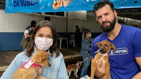 50 animais disponíveis feira de adoção acontece neste sábado