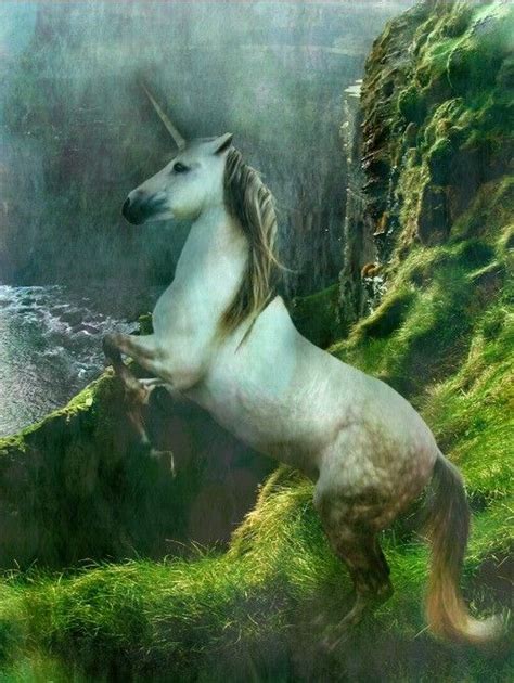 Realistic White Unicorn Near The Waterfall By Escondidographics