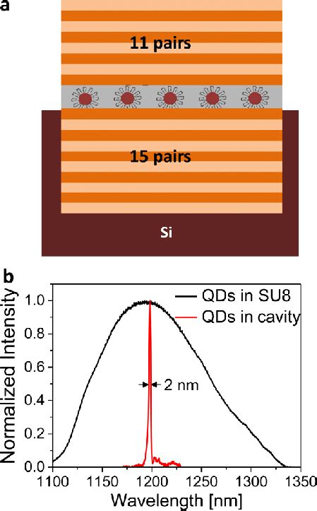 A Schematic Of A Transfer Printed Psi Microcavity Containing An Su 8