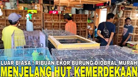 Banting Harga Ribuan Ekor Burung Diobral Murah Banyak Diskon Harga