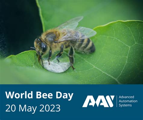 World Bee Day 2023