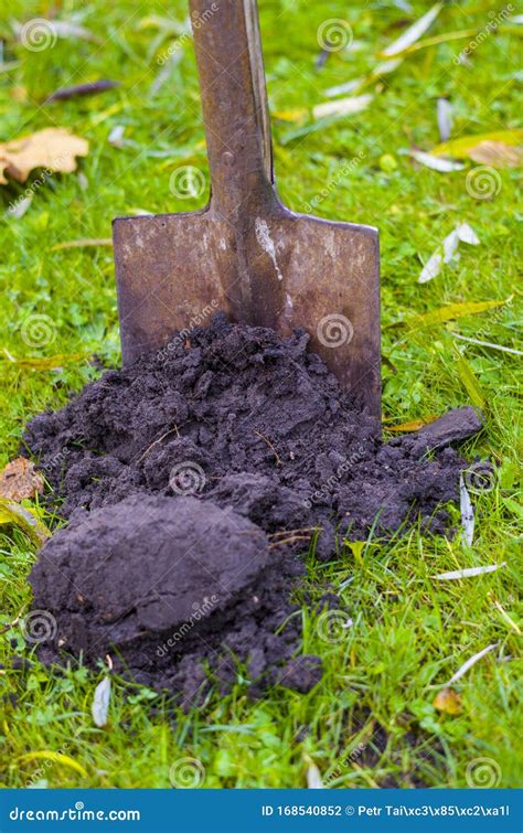 Composted soil stock photo. Image of gardening, harvesting - 168540852