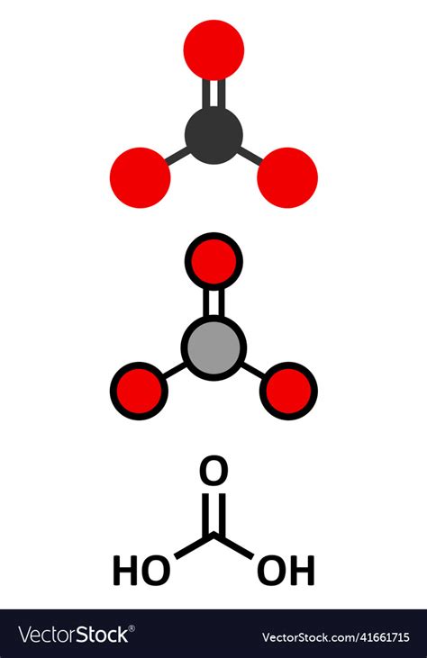 Carbonic Acid Molecule Formed When Carbon Dioxide Vector Image