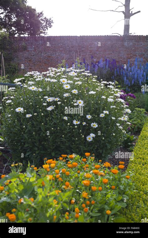 The gardens at Felbrigg Hall, Gardens and Estate, Norfolk. Felbrigg ...