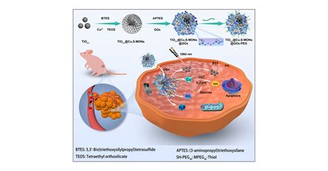 H O Self Supply And Glutathione Depletion Engineering Nanoassemblies