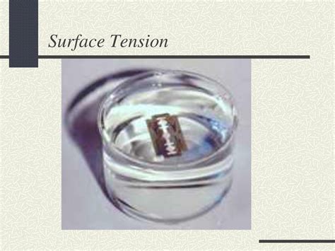 Surface Tension The Surface Of Any Liquid Behaves As If It Was A Stretched Membrane This