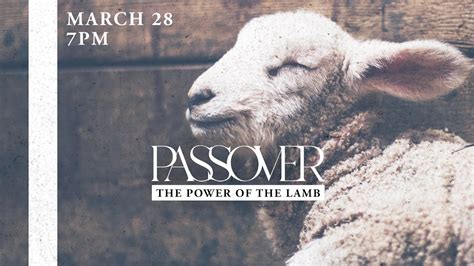 The Power Of The Lamb Passover Seder 2023 Youtube