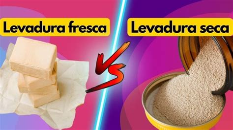 Diferencia Entre Levadura Fresca Y Seca ACT Noviembre 2022