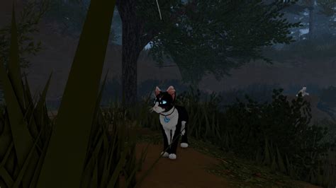 Warrior Cats Ultimate Edition Prey V Update Launches With New Hunting