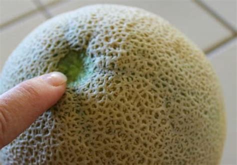 Aprende Este Truco Para Saber Elegir Los Mejores Melones