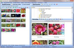 Fotos Sortieren Und Doppelte Bilder Finden Mit Fotosortierer XL