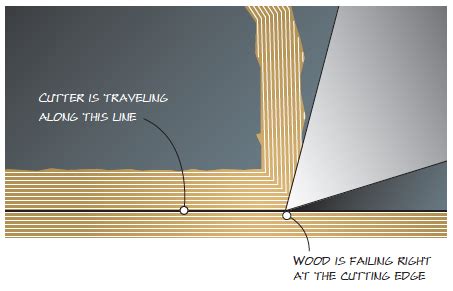 Your Guide to Tear-out | Popular Woodworking