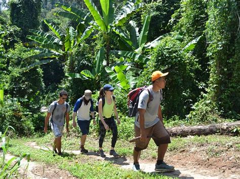 Jungle Trekking Chiang Mai 2022 What To Know Before You Go