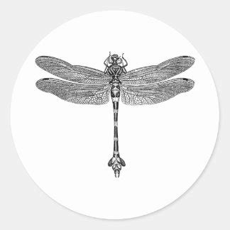 Dragonfly Stickers, Dragonfly Custom Sticker Designs