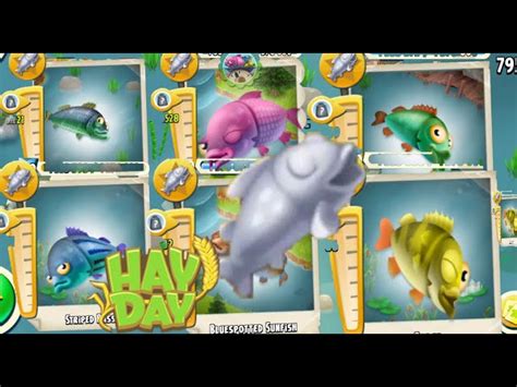 Hay Day Fish