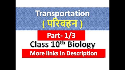 Transportation परिवहन Class 10th Biology Chapter 3 Part 1 Youtube