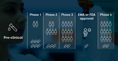 Las Diferentes Fases De Los Ensayos Cl Nicos C Mo Se Desarrolla Un F Rmaco