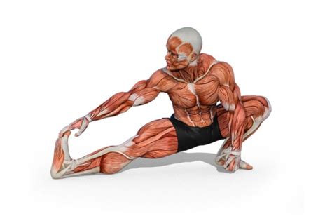 Want to Age Well? Bulletproof Hips and Shoulders With These Mobility ...