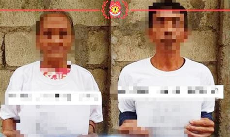 2 Npa Supporters Surrender In Isabela