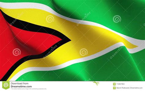 Bandera De Guyana Que Agita En El Viento Stock de ilustración