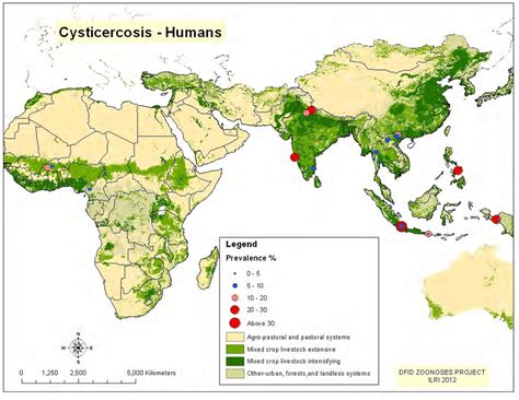 5 Cysticercosis Prevalence In Community Surveys Download Scientific