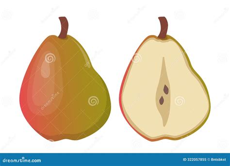 Pear Whole And A Half Of Fruit Pear Slice Vector Illustration Stock