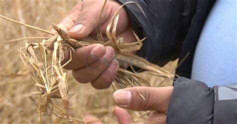 Riesgo De Heladas En Los Valles No Solo Hay Temor Por Cultivos El