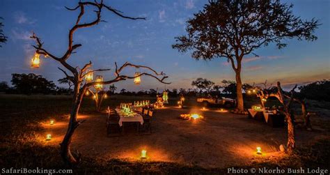 Top 5 Best Safari Lodges and Camps in South Africa | SafariBookings