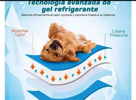 Mantas Para Mascota Refrescantes Pet Cool L X Env O Gratis