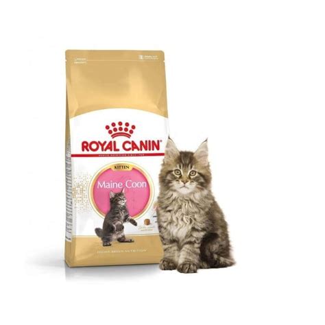 Jual Royal Canin Kitten Maine Coon Makanan Anak Kucing Kg