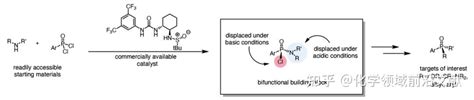 Science双氢键催化构建手性有机膦化合物 知乎
