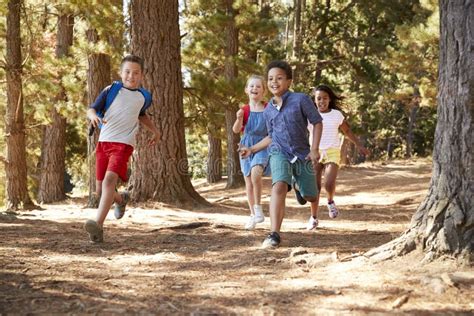 Children Running Along Forest Trail on Hiking Adventure Stock Photo ...