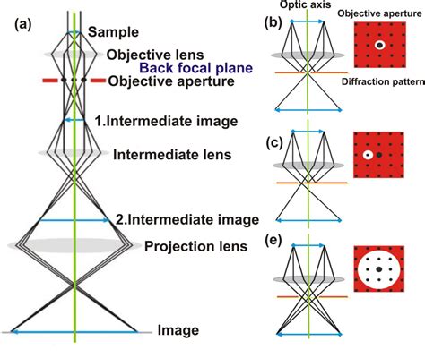 2 Ray Diagram Of A Tem Operating In Image Mode A Three Basic